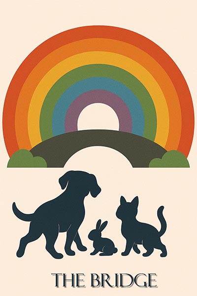 LOGO THE BRIDGE spreafico onoranze funebri desio pompe funebri