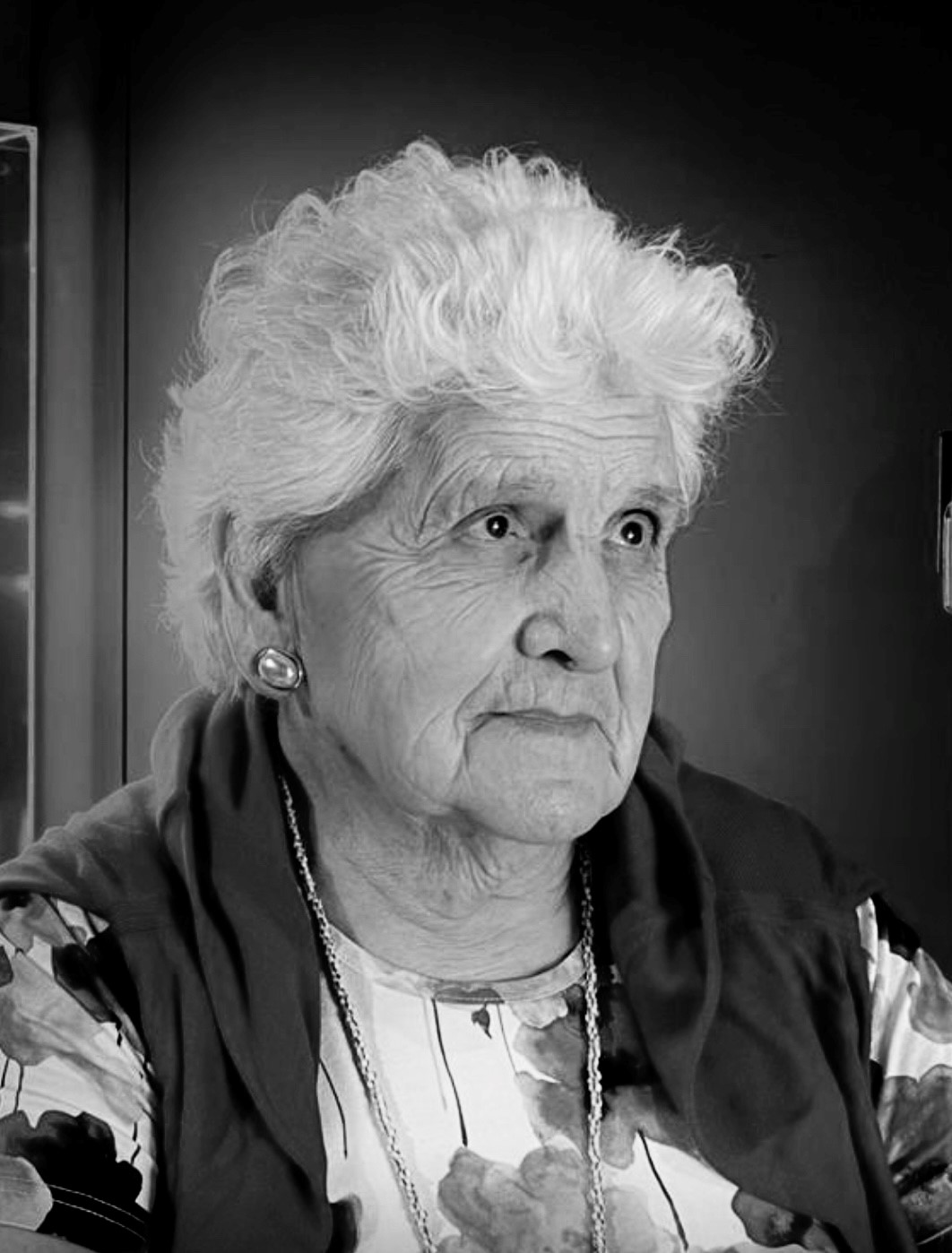 Pietrobon Vally Funerali a Prezzi Calmierati a Nova Milanese