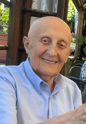 Ambrogio Brioschi